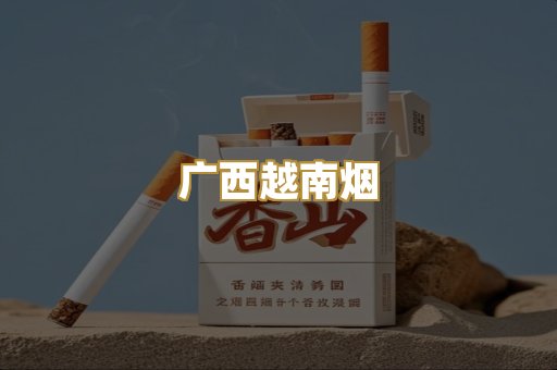 广西越南烟